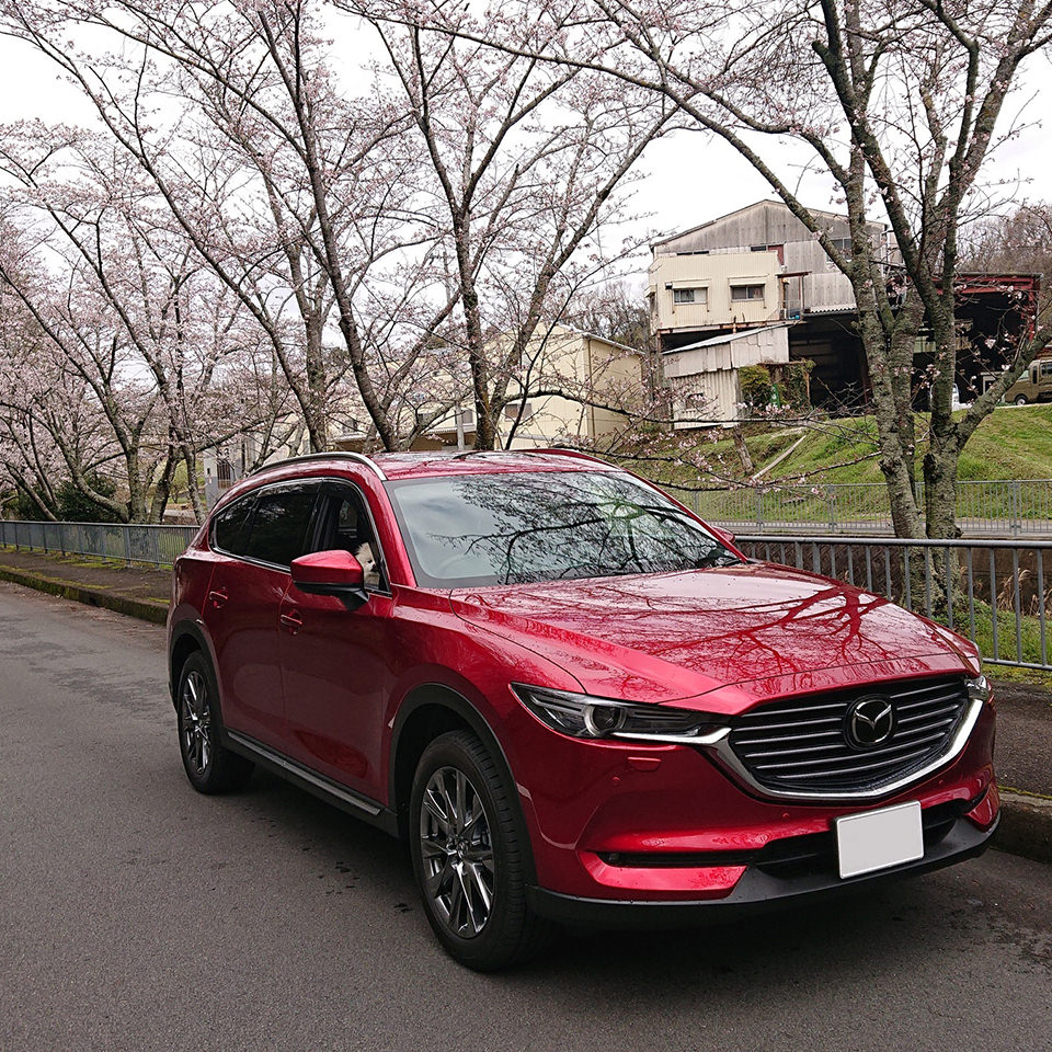 オーナー自慢の愛車ご紹介 関西マツダ